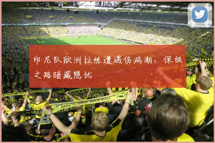 印尼队欧洲拉练遭遇伤病潮，保级之路暗藏隐忧