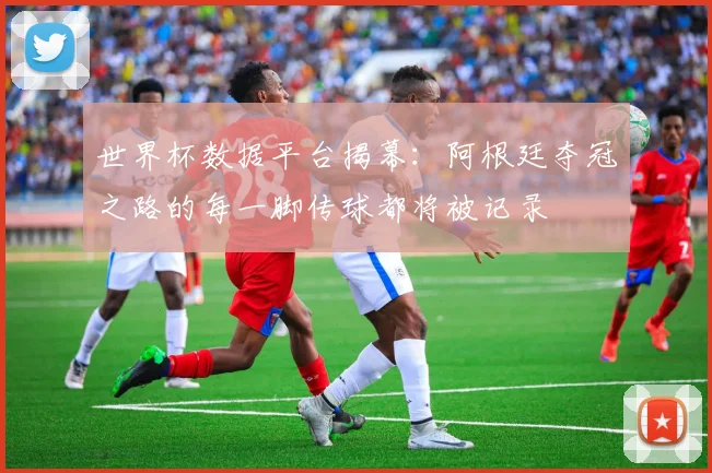 世界杯数据平台揭幕：阿根廷夺冠之路的每一脚传球都将被记录