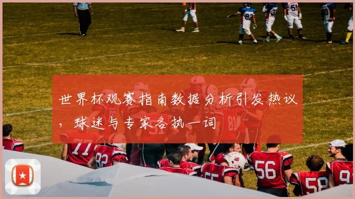 世界杯观赛指南数据分析引发热议，球迷与专家各执一词