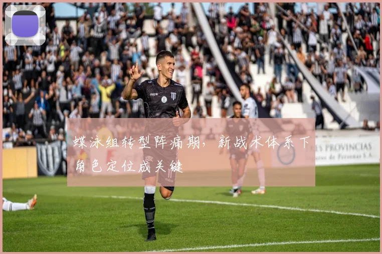 蝶泳组转型阵痛期，新战术体系下角色定位成关键