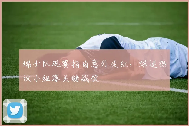 瑞士队观赛指南意外走红，球迷热议小组赛关键战役