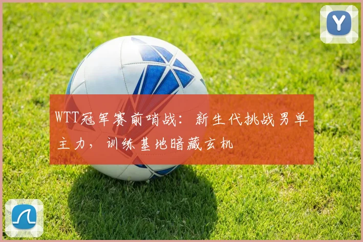 WTT冠军赛前哨战：新生代挑战男单主力，训练基地暗藏玄机