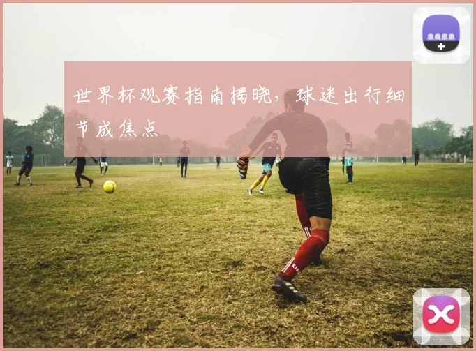 世界杯观赛指南揭晓，球迷出行细节成焦点