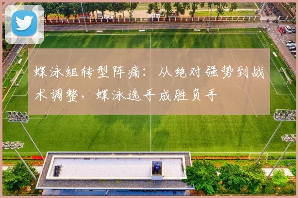 蝶泳组转型阵痛：从绝对强势到战术调整，蝶泳选手成胜负手